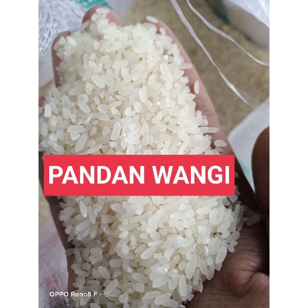 

BERAS PANDAN WANGI 5KG 10KG 20KG 25KG