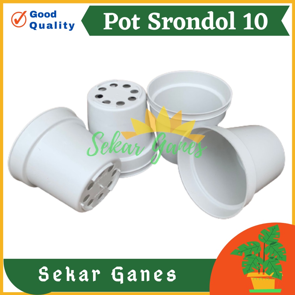 POT BUNGA 10cm PUTIH Pot Tanaman Hias Grosir Murah Plastik Pot 10 cm MURAH