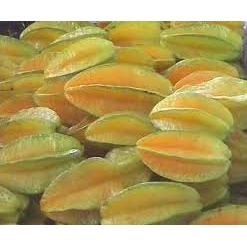 READY BUAH BELIMBING FRESH HASIL PERKEBUNAN SIAP KIRIM