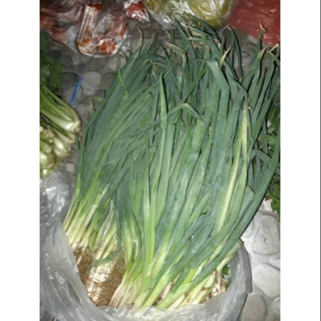 

Daun Bawang + Seledri 500 gr