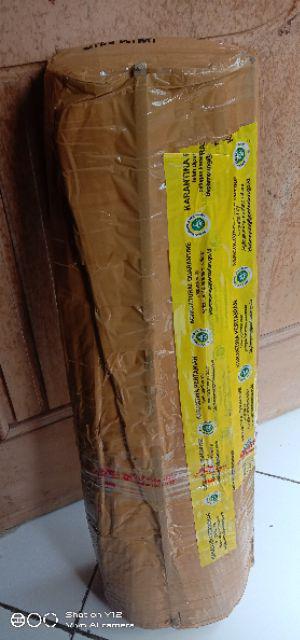 Jambu Air Black Kingkong Super