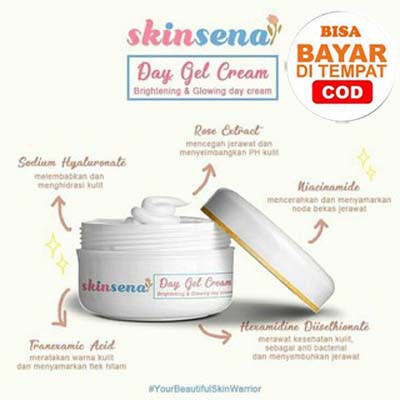 SKINSENA BRIGHTENING GLOWING DAY CREAM 9GR