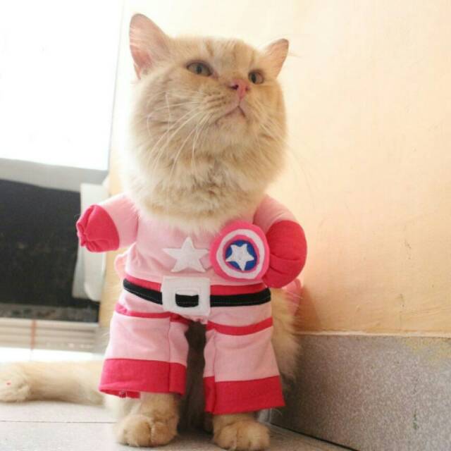 Capten amerika pink version untuk kucing dan anjing / baju kucing anjing size S M L XL