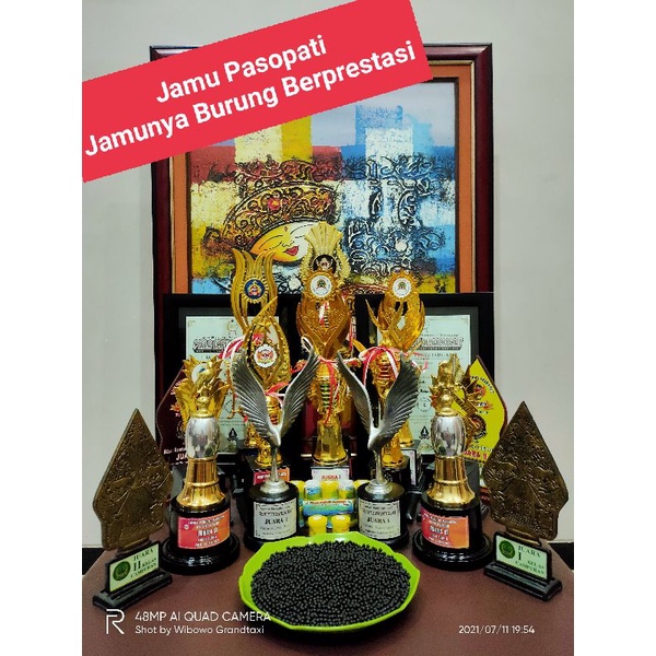 JAMU PERKUTUT PASOPATI EVOLUTION 7 (EVO 7) VARIAN ISI 35 BUTIR