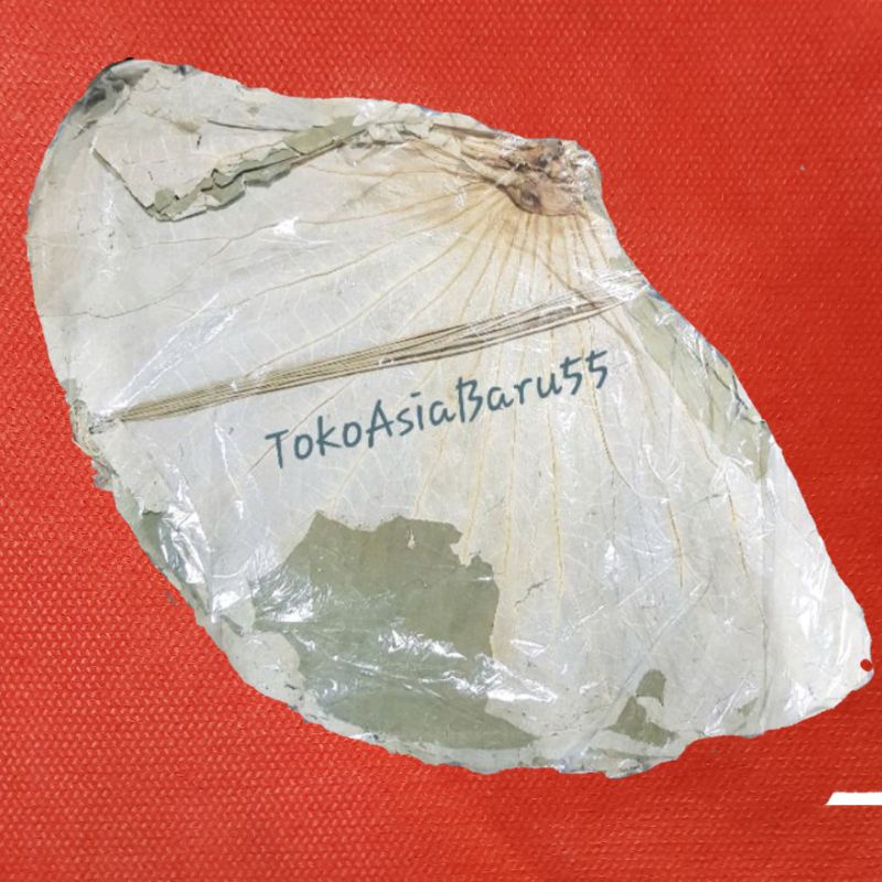 

Daun Teratai Lotus kering Bungkus Lomaikai bakcang