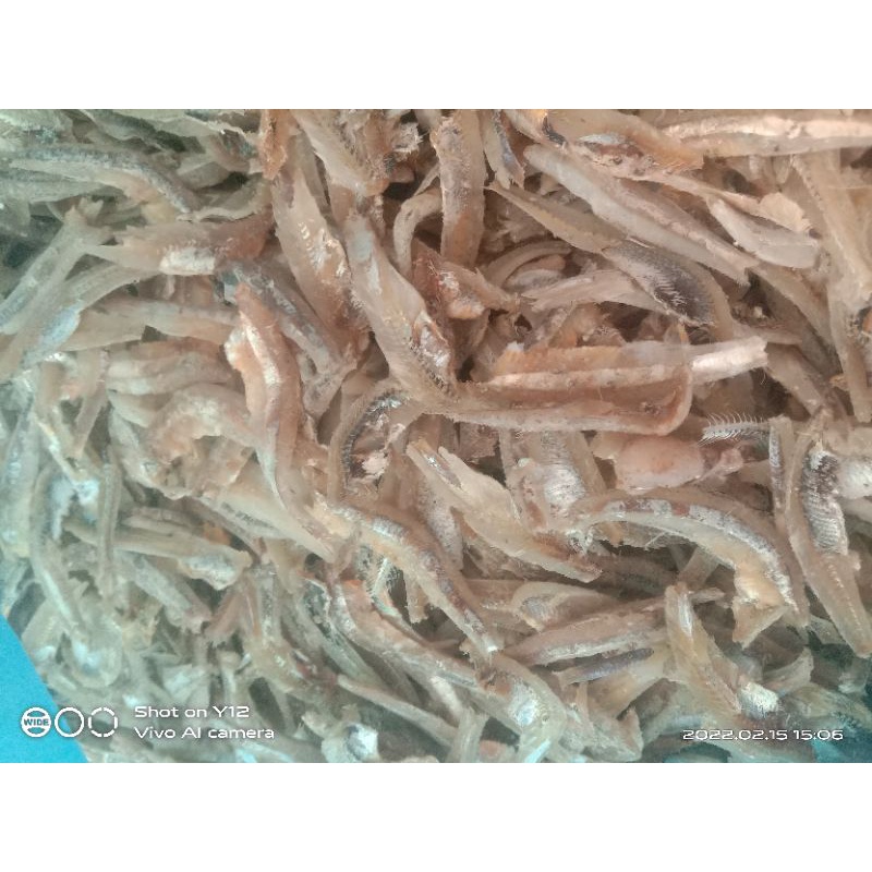 

ikan teri belah