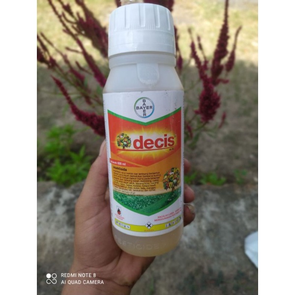 Decis insektisida Bayer Decis 25EC 500ml