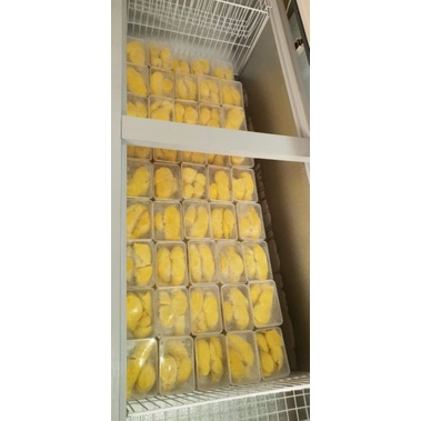 

MONTONG PALU / DURIAN MONTONG PALU PREMIUM / MONTONG PARIGI
