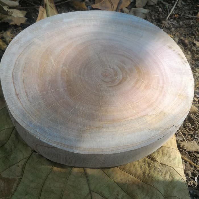 Ready Potongan kayu alami wood slice tanpa kulit talenan hiasan dekorasi