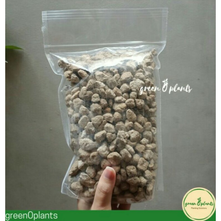Pumice Besar Batu Apung Dasar Pot Size L 1Kg