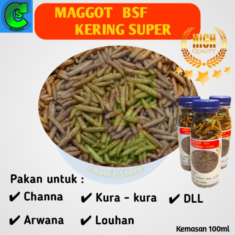 maggot kering pakan channa, arwana, louhan, kura kura / maggot kering pakan predator / pakan ikan maggot / maggot kering