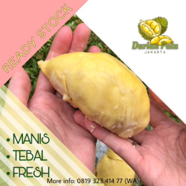 

Durian Palu