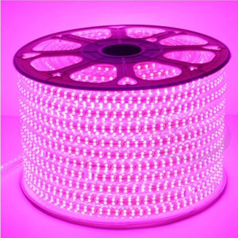 LAMPU LED STRIP 5050 1 Meter AC 220V OUTDOOR SEMUA WARNA - Meteran