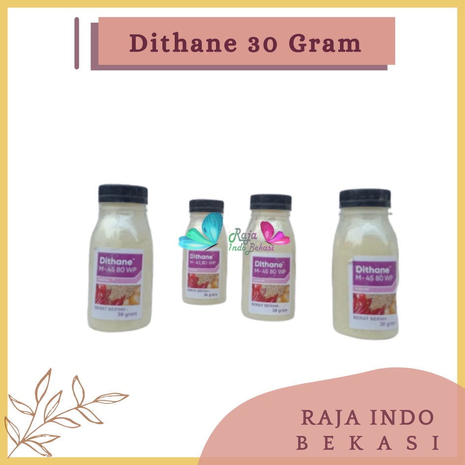 Rajaindobekasi Dithane M 45 80wp Botol 30 Gram Wp Fungsida Tanaman Kemasan Botol 30 Gram Warna Kuning  Pupuk Dithane M-45 80wp 200gr Fungisida Pengendali Hama Jamur Pada Daun Dithane M 45 80wp 1 Kg