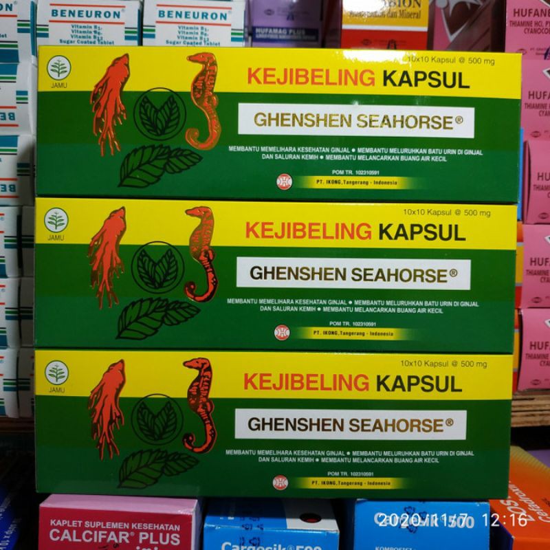 

KEJI BELING GHENSHEN SEAHORSE