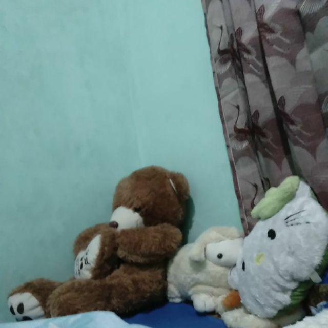 Yukensi Payung Monstera