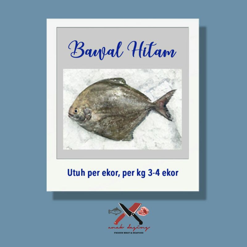 

Bawal Hitam - Export Quality