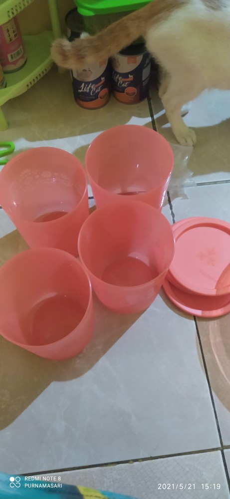 #toples Atau Wadah Tempat Kue{4}