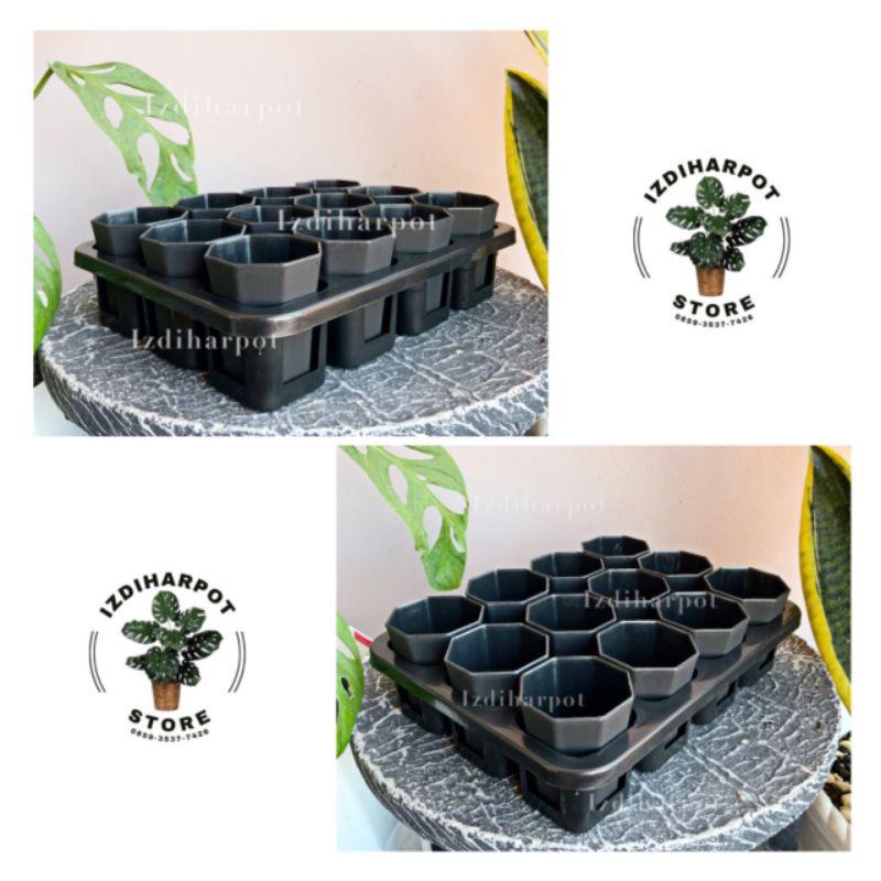 1 set Tray + POT BUNGA NKT PAGODA MINI 5CM HITAM | tray semai bibit