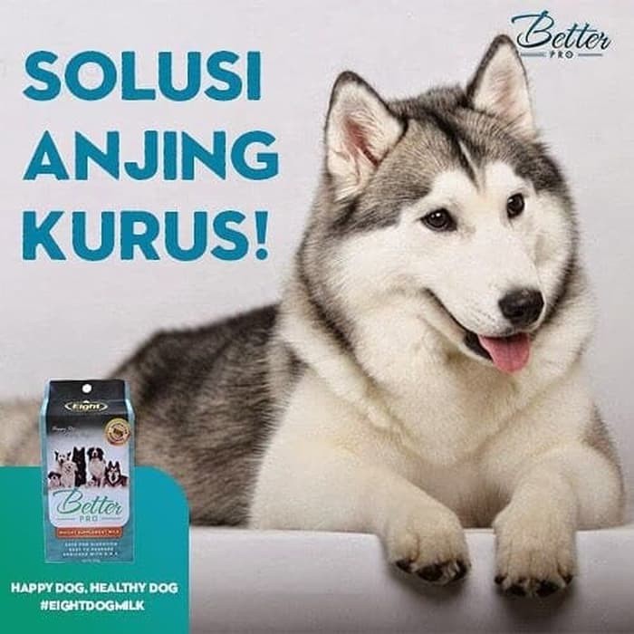 Pm001 Susu Betterpro Better Pro Dog Milk 300gr Susu Penggemuk