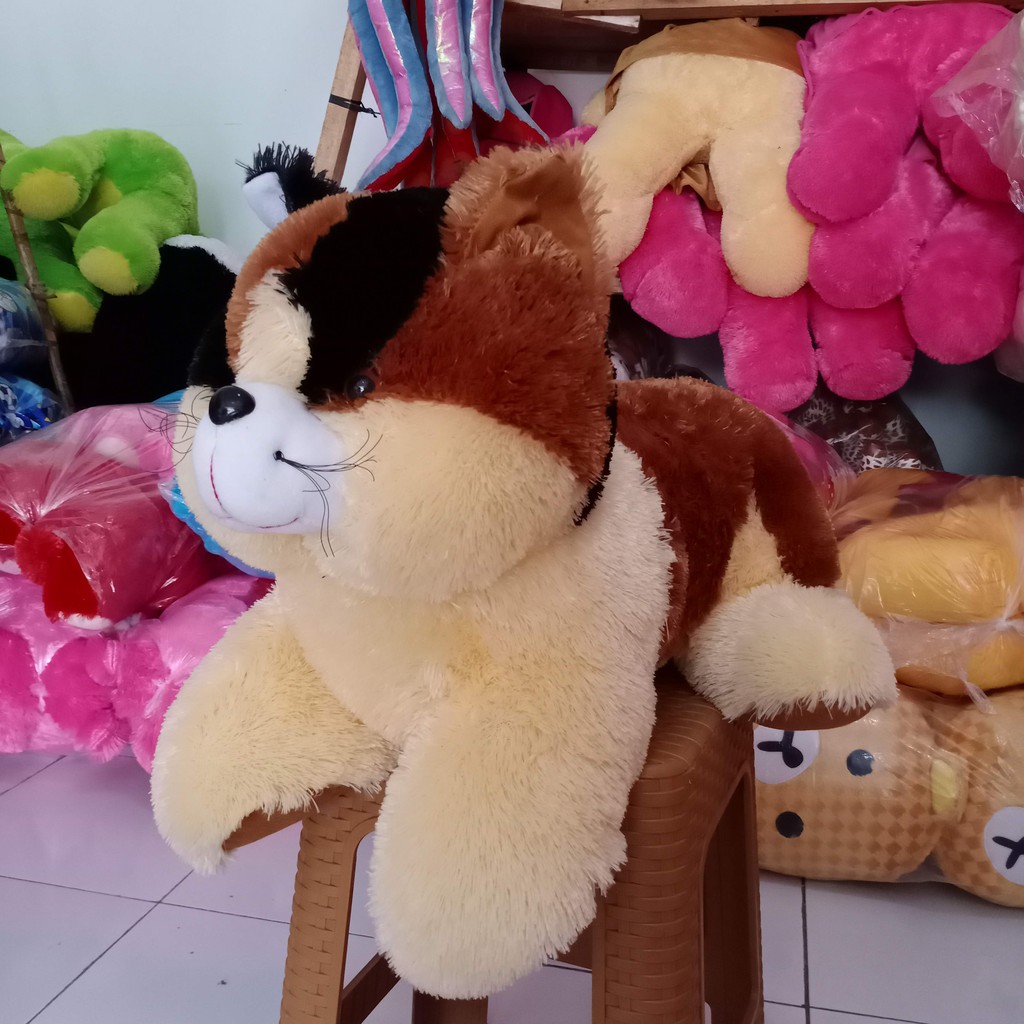Boneka Kucing Jumbo 75cm termurah