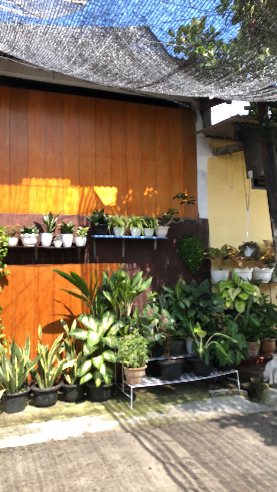 Pot Tawon Dia 21 Merk Honey & Madu