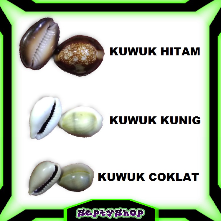 BIJI BEKEL CONGKLAK   KERANG ASLI KEWUK KUWUK HITAM MAINAN ANAK PEREMPUAN TRADISIONAL DAKON BEKLEN-3