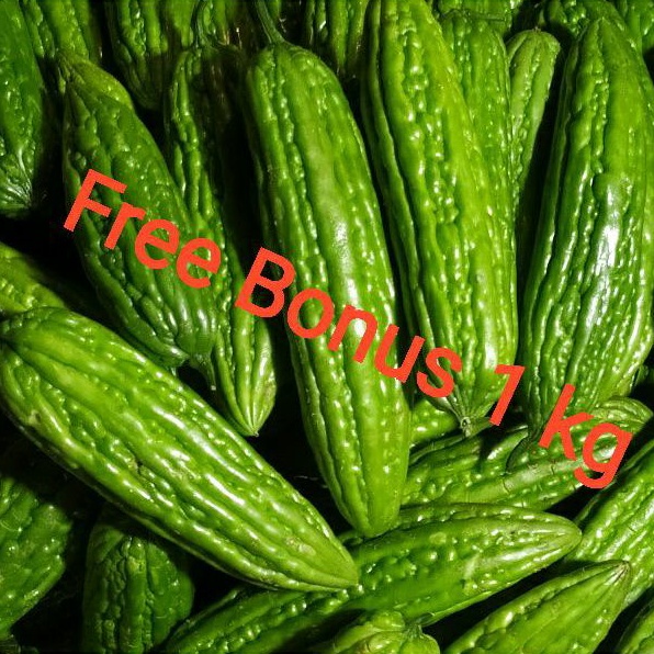 

Pare Bangkok | Sayuran Pare uk 250 gr + Gratis Bonus