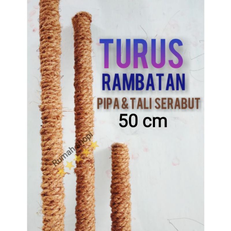 turus penyangga tanaman turus tanaman 50 cm turus penyangga tanaman turus rambatan turus sabut kelap