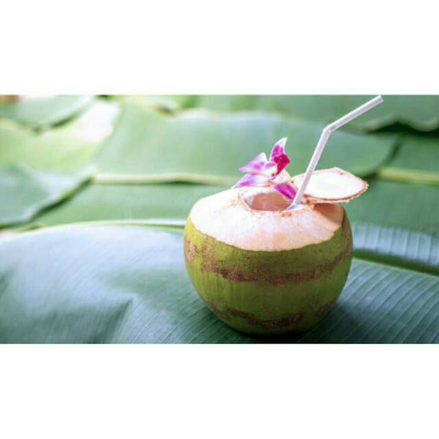 

Buah Kelapa Hijau/ijo Kaya Akan Manfaat Untuk Tubuh