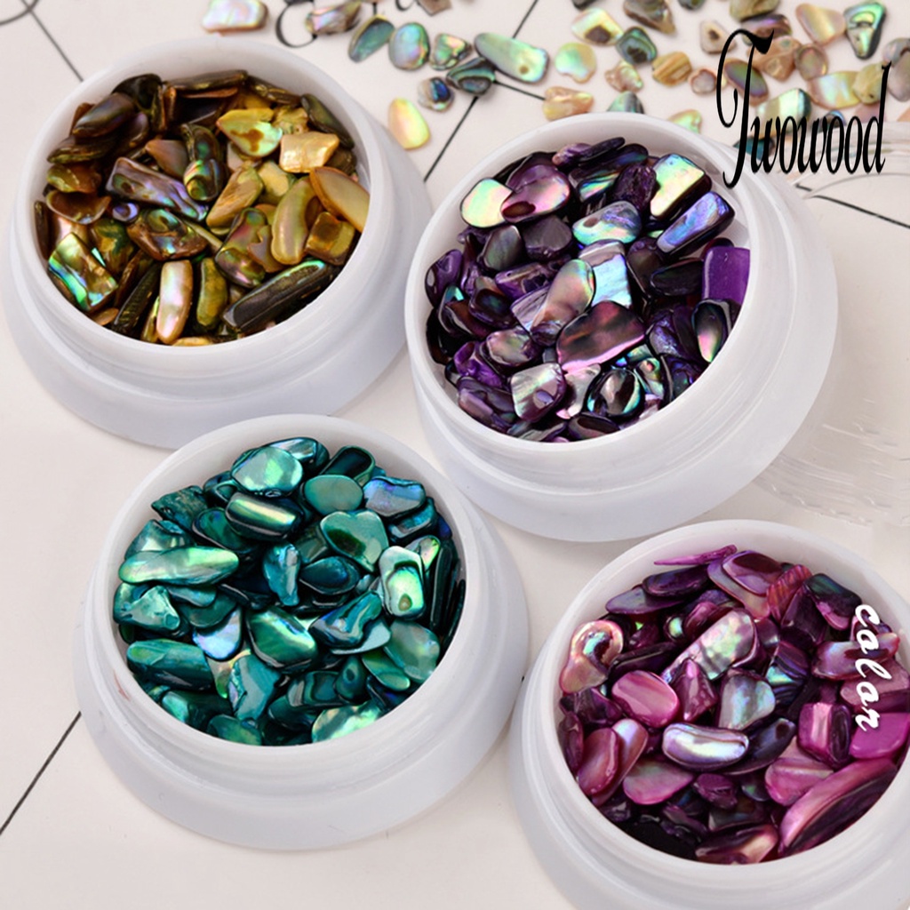 Irisan Kerang Abalone 3D Warna-Warni Untuk Dekorasi Nail Art