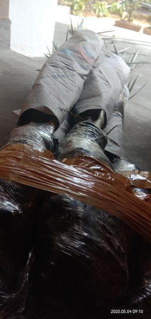 New Produck!! Pohon Kurma Azwa Jantan Dan Betina - Kl 1