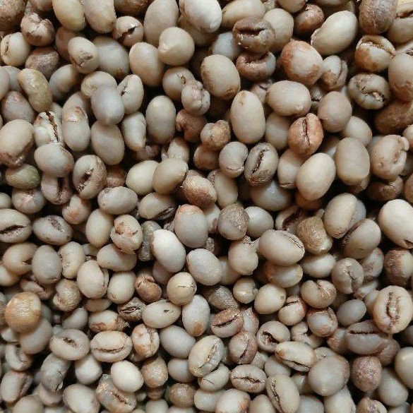 

Green Bean Robusta Peaberry (Lanang)