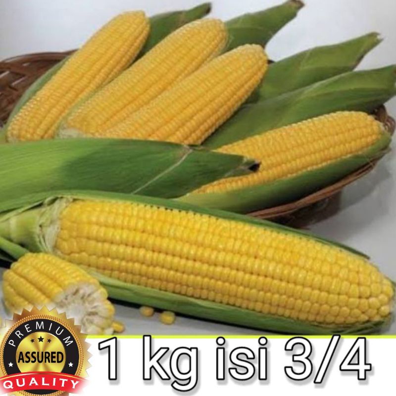 

Jagung manis Cilacap 1 kg