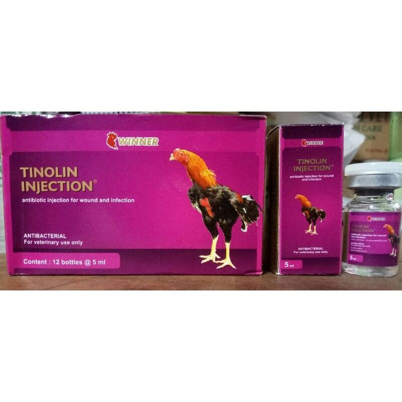 TINOLIN INJECTION obat ayam sesudah tarung adu jalu