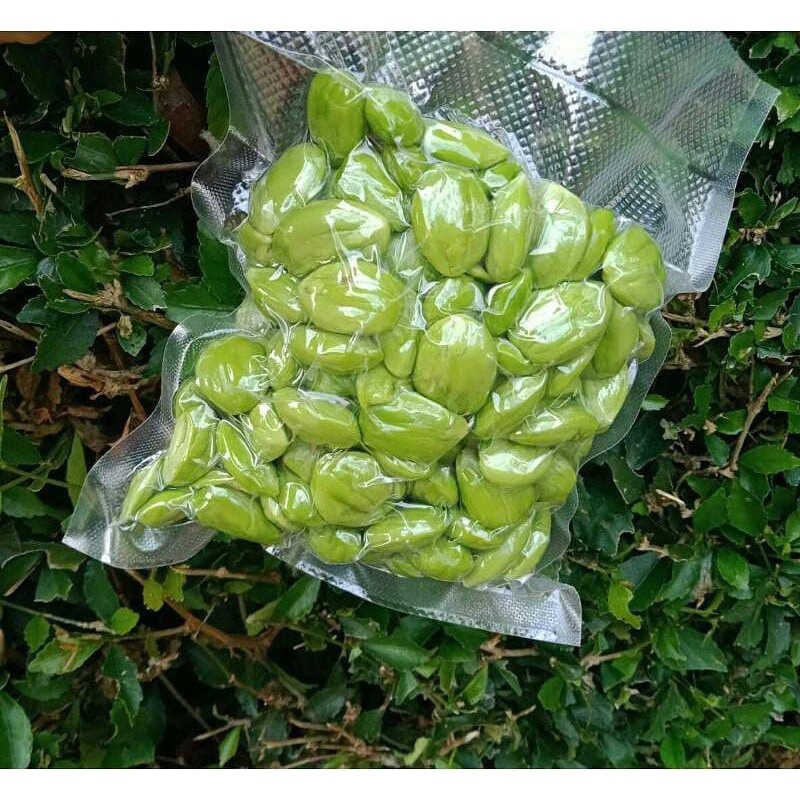 

PETE KUPAS VACUM KUALITAS TERBAIK