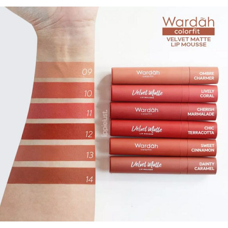 WARDAH COLORFIT VELVET MATTE LIP MATTE 12 CHIC TERRACOTA