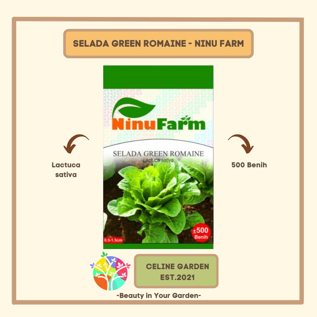 BIBIT SELADA ROMAINE / SELADA GREEN ROMAINE / NINUFARM / ORIGINAL PABRIK