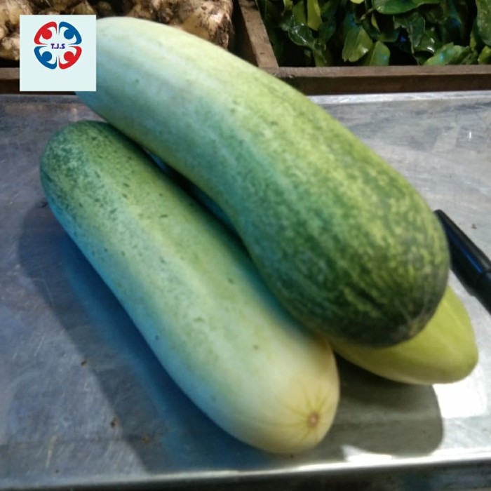 

ketimun 1 kg