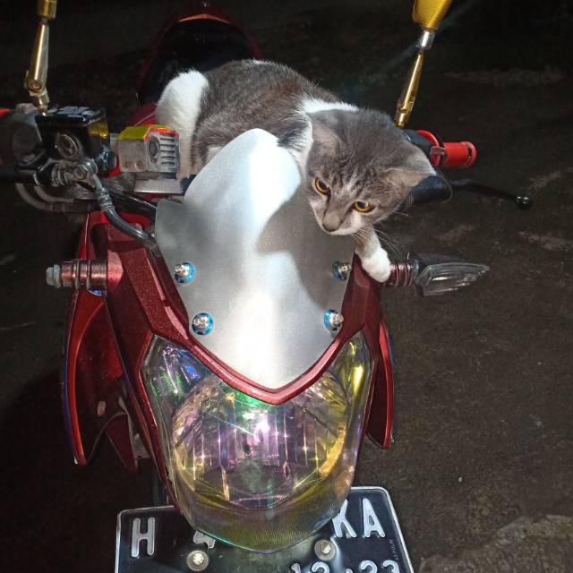 udinpermata
