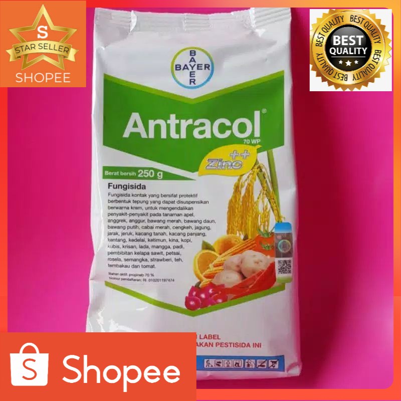 Fungisida Antracol pencegah jamur tanaman hias