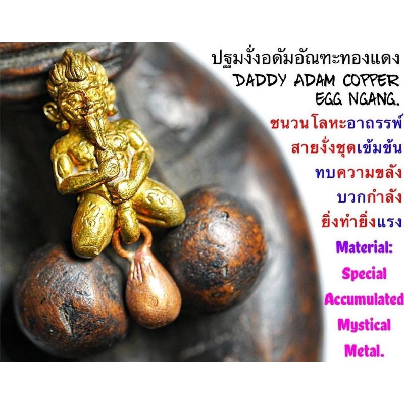 daddy adam copper egg ngang