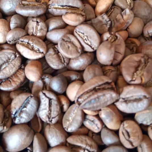

Terlaku ✼ Kopi bubuk cap matahari,