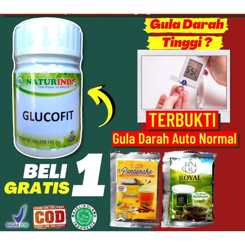 NATURINDO GLUCOFIT MENGOBATI PENYAMIT DIABETES