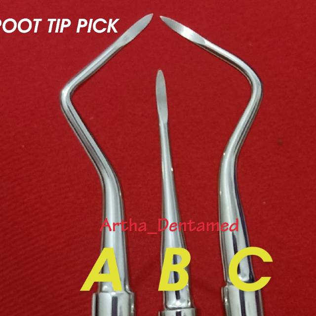 ROOT TIP PICK / ROOT ELEVATOR / BEIN