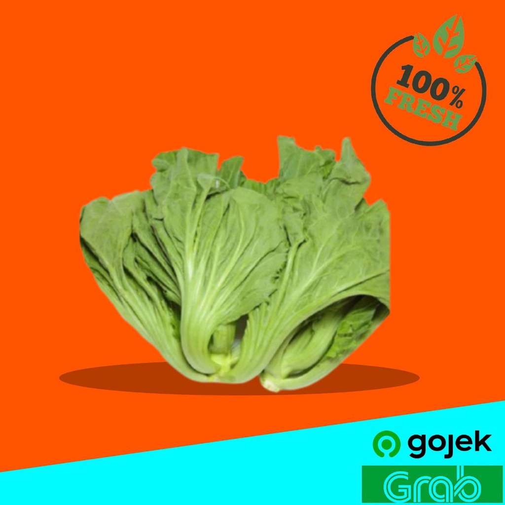 

Sayur Tangerang Sayuran Segar Sawit Pahit 1000 gr