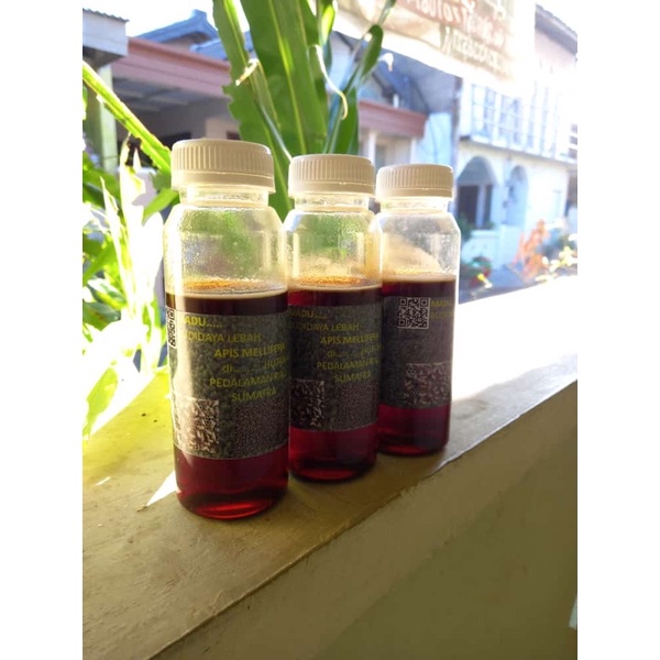 

madu riau sumatra