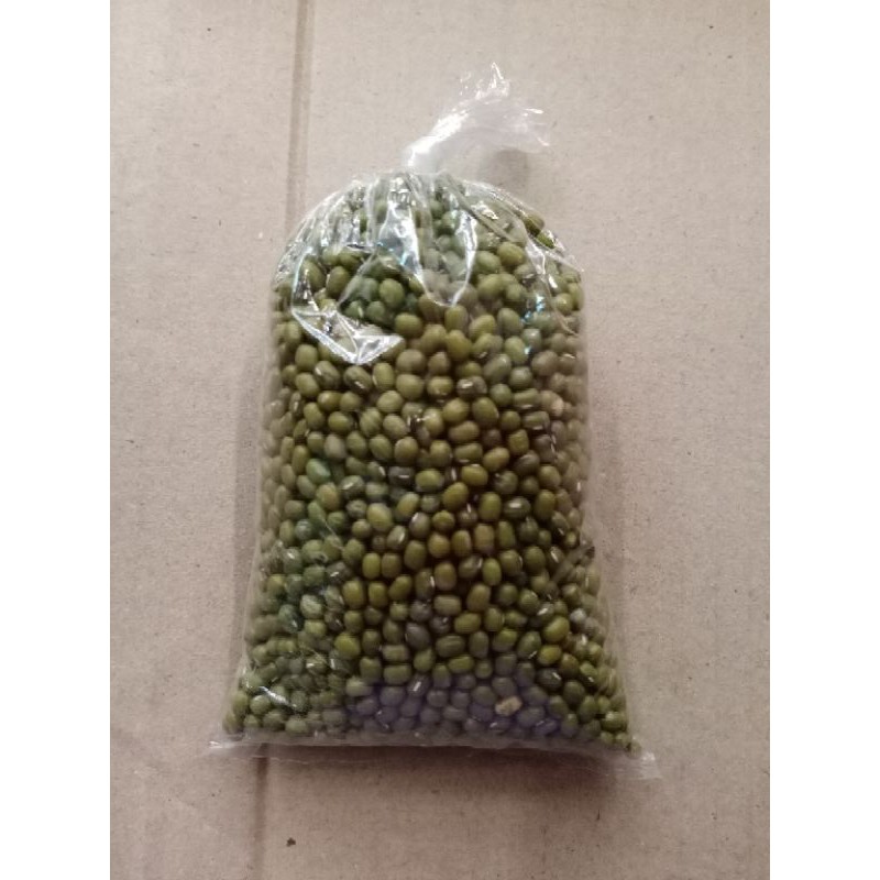 

kacang hijau lokal