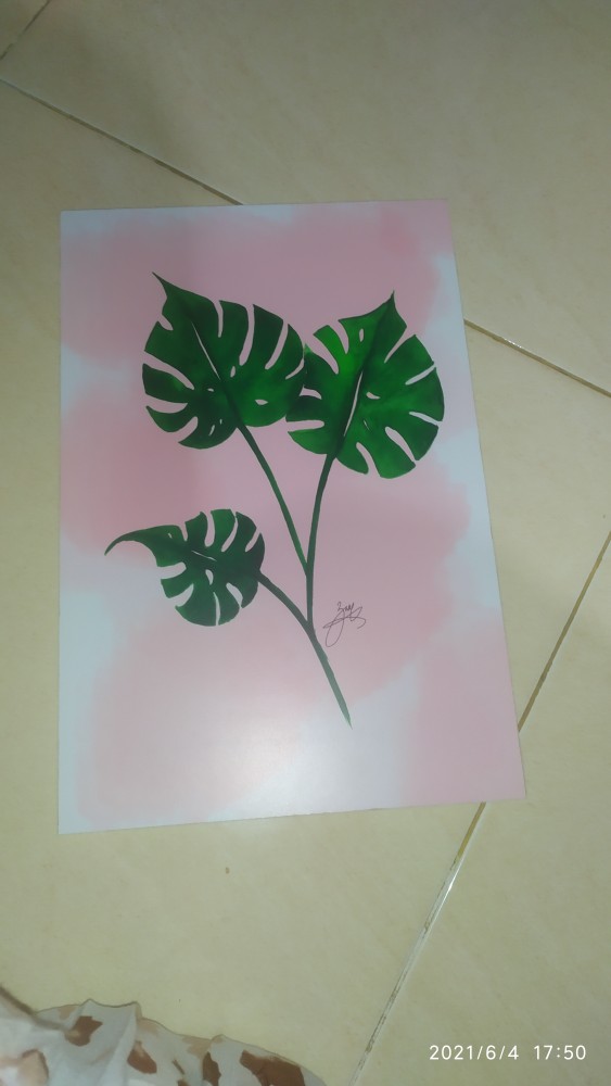 Wooden Projects Wall Decor Hiasan Pajangan Dinding Daun Monstera Tropical - Tmc2