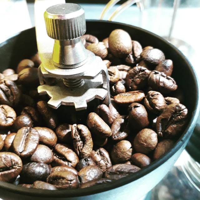 

Kopi robusta lampung